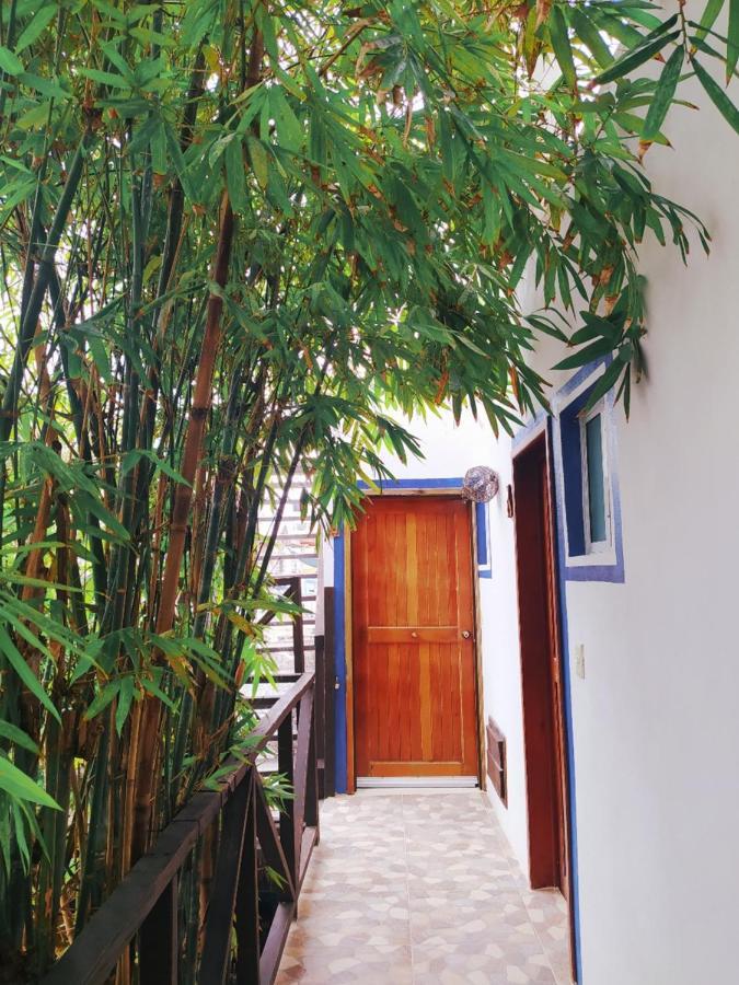 Hotel Jardin Mahahual Εξωτερικό φωτογραφία